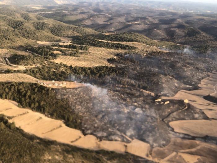 Incendio forestal de Nonaspe. Domingo, 19 de junio 2022