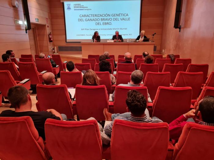 Presentación del estudio en la sede del Gobierno de Aragón.