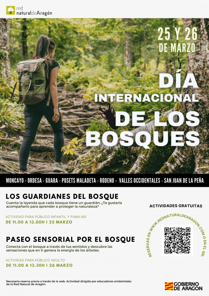 Cartel del Día Internacional de los Bosques.