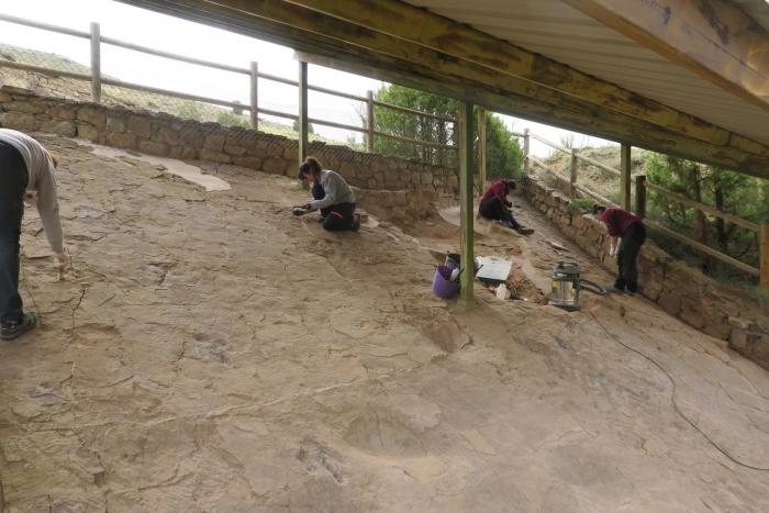 Técnicos especializados de la Fundación Dinópolis trabajando en el yacimiento “Corrales del Pelejón” de Galve.
