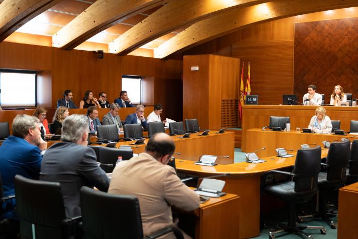 La comisión se ha celebrado en la sala Manuel Giménez Abad.