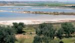 La Reserva Natural de las Saladas de Chiprana a salvo gracias al aporte de agua extra