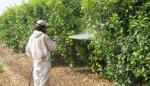 El campo aragonés se prepara para lograr un uso sostenible de los plaguicidas 