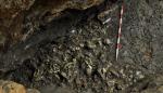 Investigaciones en las que participan técnicos aragoneses certifican que la cueva de Els Trocs fue ocupada por los primeros pastores trashumantes de Europa 