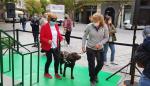 El Gobierno de Aragón trabaja en la ley para regular el uso de perros de asistencia para las personas con discapacidad en la Comunidad