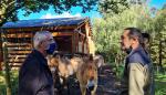El Gobierno de Aragón colabora con Lacuniacha en la conservación de la fauna amenazada