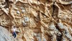 Aragón celebrará el Geolodía en el yacimiento de Bueña el próximo 9 de mayo