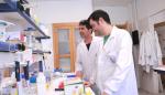 Investigadores de Aragón ensayan para reactivar la respuesta inmunitaria contra el cáncer