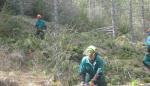 Gestión Forestal trabaja para acondicionar y repoblar los montes de la Comarca Cuencas Mineras