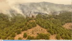 Incendio forestal de Ateca