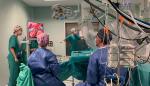Un momento de la primera intervención de cirugía robótica ginecológica