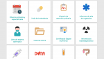 Algunos de los iconos coloreados de la aplicación de Salud Informa