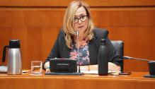 Comparecencia de la consejera Mayte Pérez para dar cuenta del presupuesto para 2023 del Departamento de Presidencia y Relaciones Institucionales