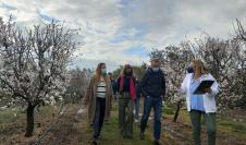 Maru Díaz: “Aragón lidera el desarrollo de las variedades modernas de almendro en todo el mundo gracias a la investigación del CITA” 