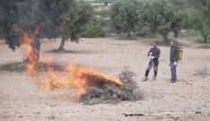El 1 de abril comienza la época de peligro de incendios forestales en Aragón