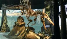 Spinosaurus, nuevo recorrido temático de Mar Jurásico.
