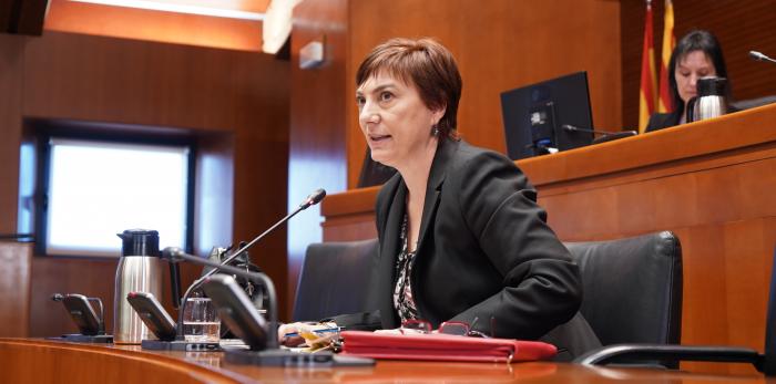 La directora general de Igualdad de Oportunidades, María Victoria Alquézar, ha comparecido este martes en la comisión de Bienestar Social y Familia