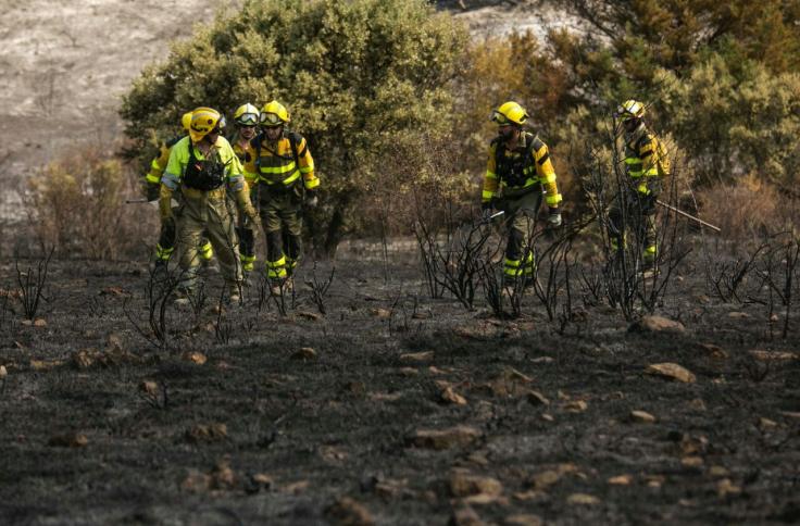 Efectivos del INFOAR en el incendio forestal de Añón de Moncayo