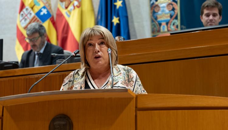 Sesión plenaria de la Cortes de Aragón 29/09/2023