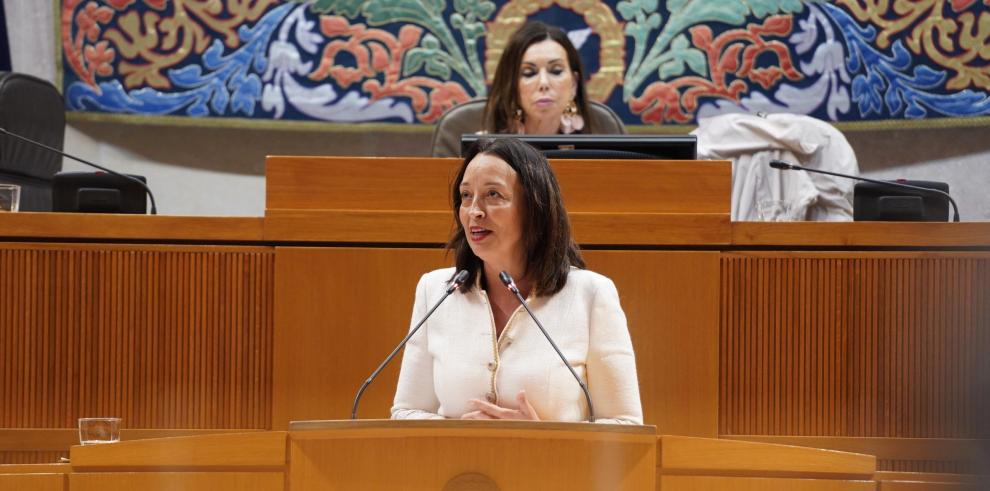 La consejera Susín ha respondido en el pleno de las Cortes sobre políticas de dependencia