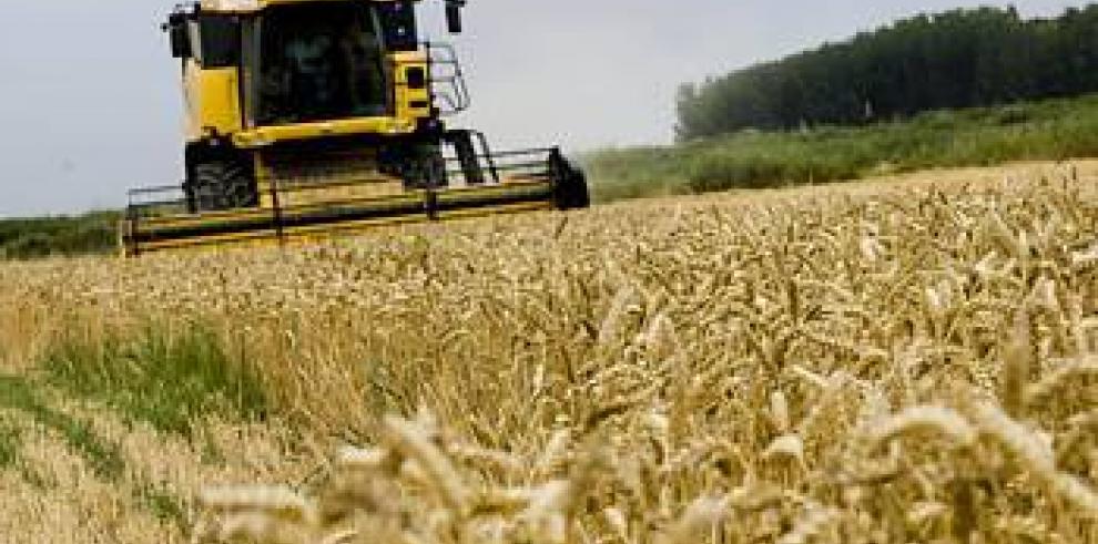 Desarrollo Rural abona 12 millones de euros por prácticas agrarias que favorecen la conservación del medioambiente