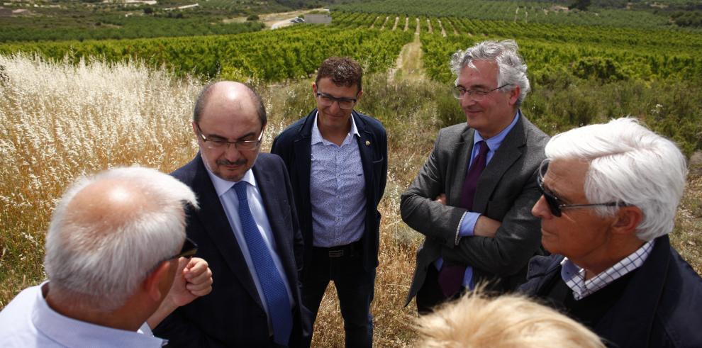 El Gobierno de Aragón ultima un nuevo decreto de regadíos que contempla ayudas por valor de casi 100millones de euros
