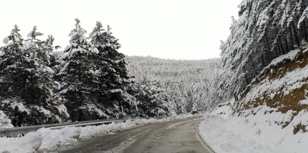 Imagen del artículo El temporal de nieve previsto para este miércoles obliga a suspender 114 rutas escolares en Aragón