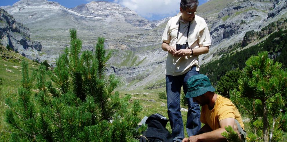 Los visitantes de los Espacios Naturales Protegidos de Aragón ayudan a recoger datos sobre la mariposa apolo 