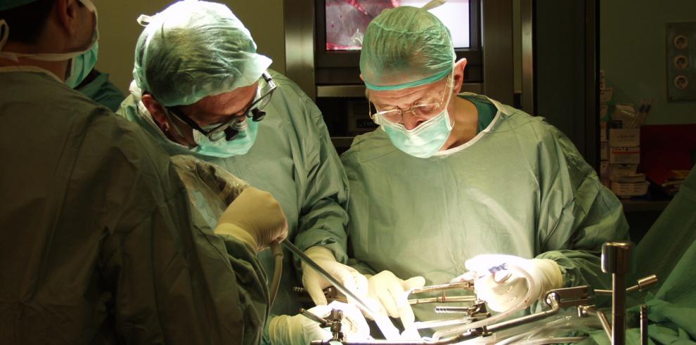 Médicos y periodistas especializados de toda España debaten en Zaragoza sobre los avances en trasplante de órganos