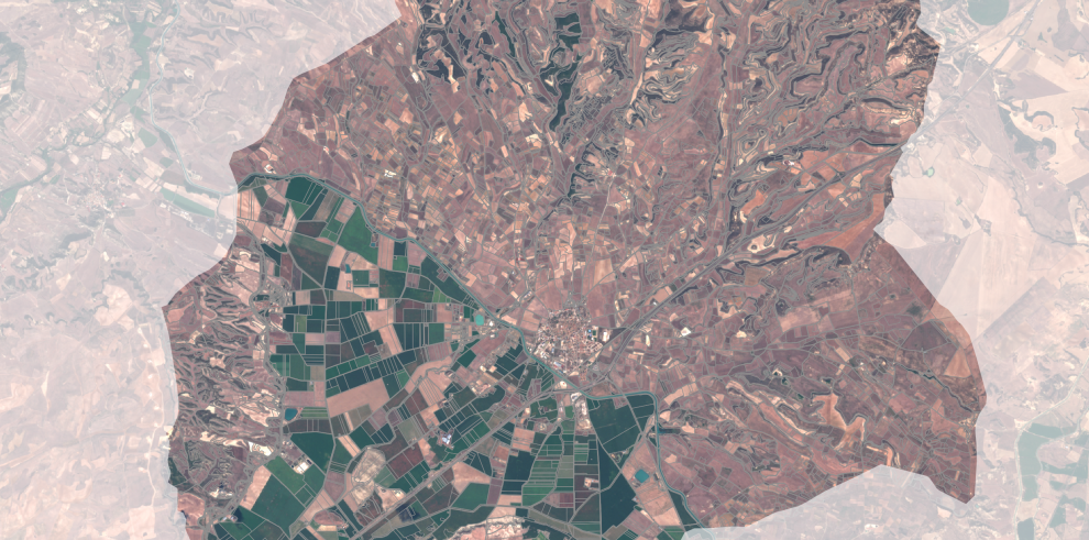 Una empresa aragonesa monitoriza los cultivos en España y Portugal desde Walqa