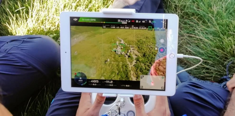 El CITA utiliza drones al servicio de la ganadería extensiva