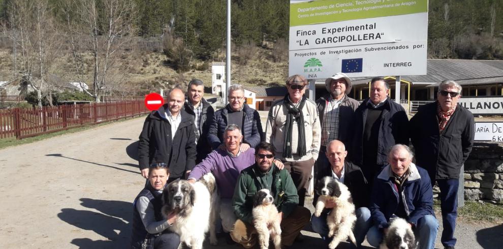 El Centro de Transferencia Agroalimentaria mejora la funcionalidad del Mastín del Pirineo