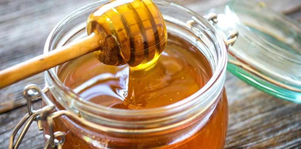 El CITA organiza la jornada técnica “FITEMIEL 2: Recuperar la miel para recuperar el territorio”