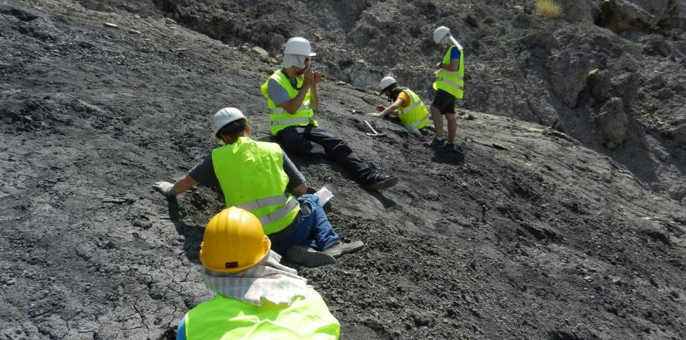Los nuevos descubrimientos confirman a Ariño como uno de los yacimientos más completos e importantes del mundo del Cretácico