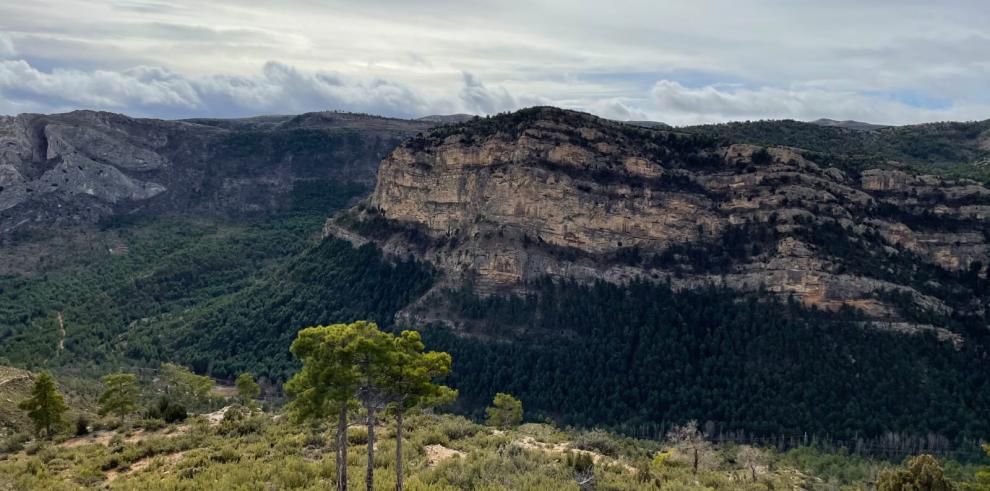 El Servicio Provincial de Agricultura, Ganadería y Medio Ambiente de Teruel ultima los trámites de aprobación de los Planes de Gestión Forestal de los montes de Aliaga 