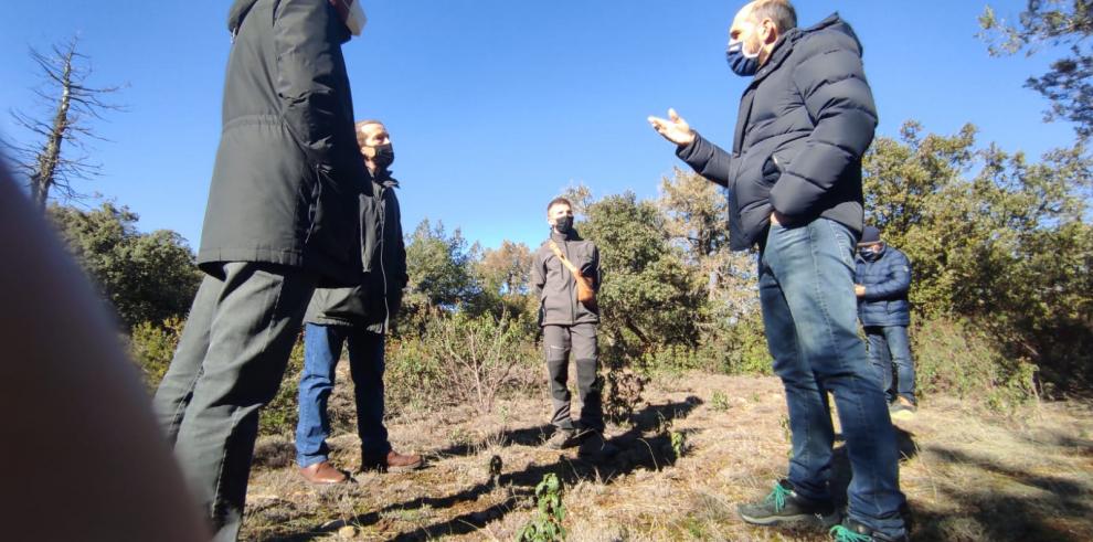 Diego Bayona anuncia una inversión de 180.000 € en la protección de los bosques maduros aragoneses