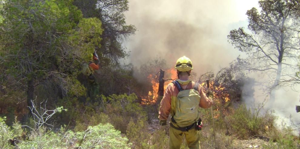 Los Agentes de Protección de la Naturaleza, pieza clave en la lucha contra el fuego
