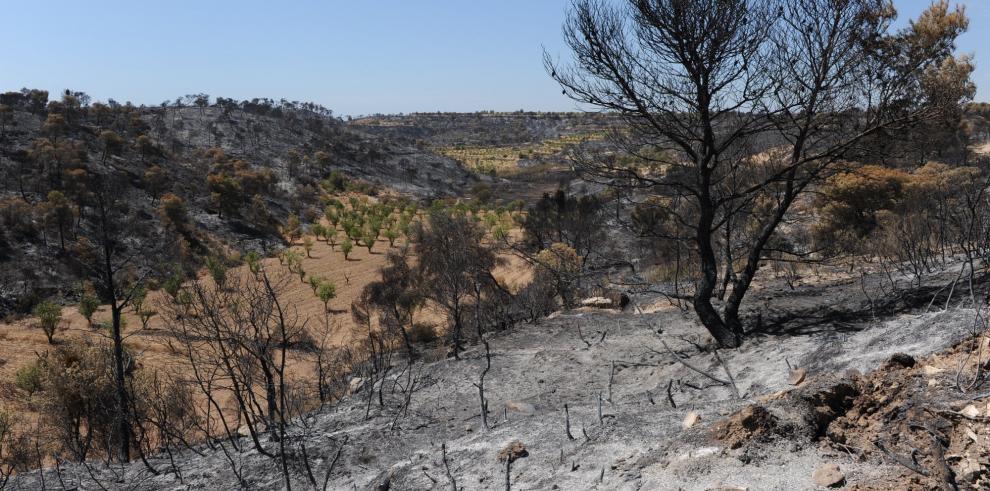 El Departamento de Medio Ambiente solicitará ayudas al Ministerio de Medio Ambiente, Medio Rural y Marino para el incendio de Mequinenza y Fayón
