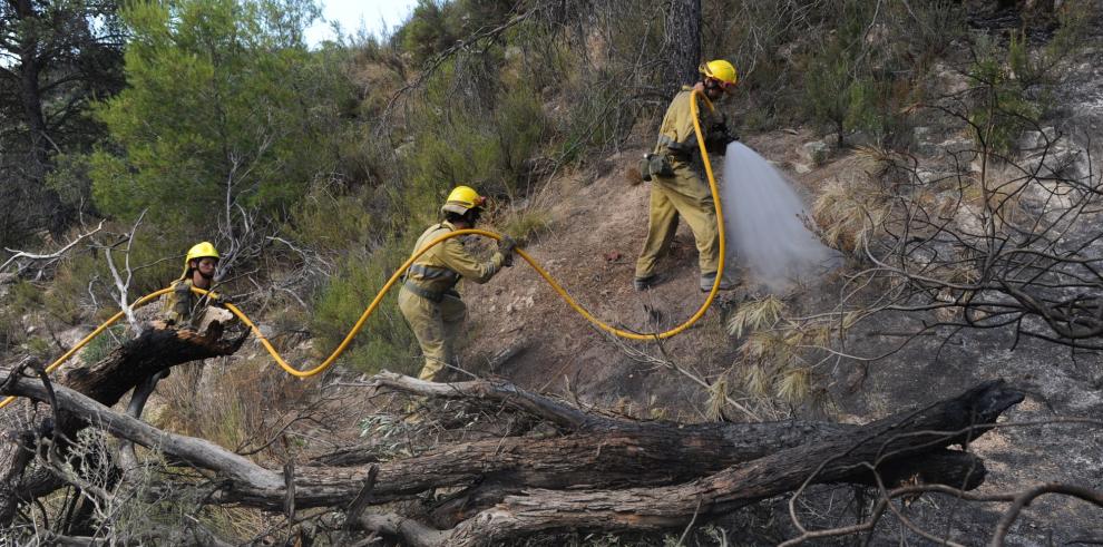 El Departamento de Medio Ambiente solicitará ayudas al Ministerio de Medio Ambiente, Medio Rural y Marino para el incendio de Mequinenza y Fayón