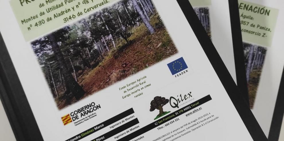 Diego Bayona anuncia una inversión de 2 millones en planes forestales de montes públicos que favorezcan el desarrollo económico del medio rural