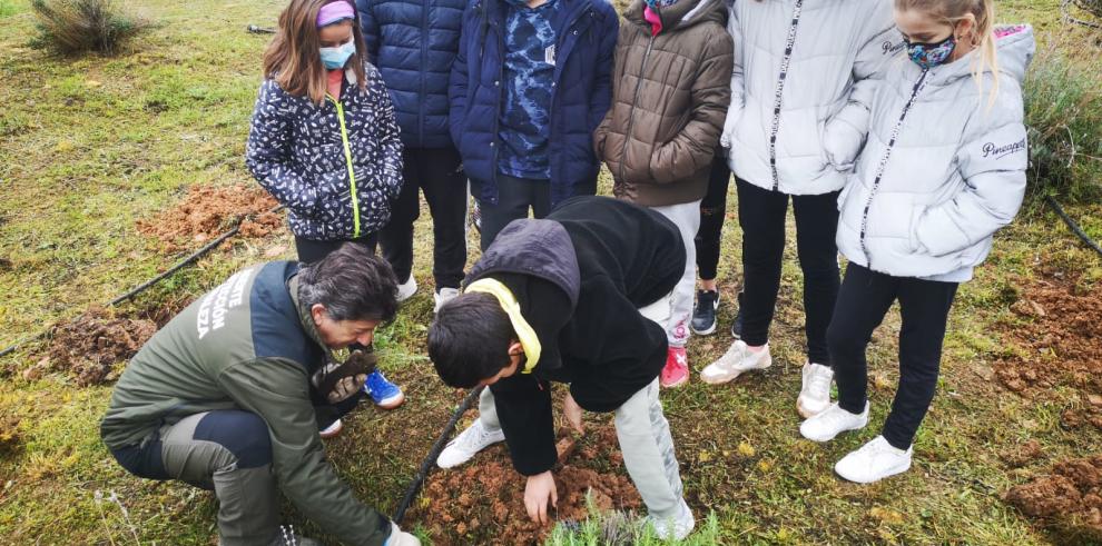 El Gobierno de Aragón celebra el Día del Árbol sensibilizando en los colegios sobre la importancia de los bosques