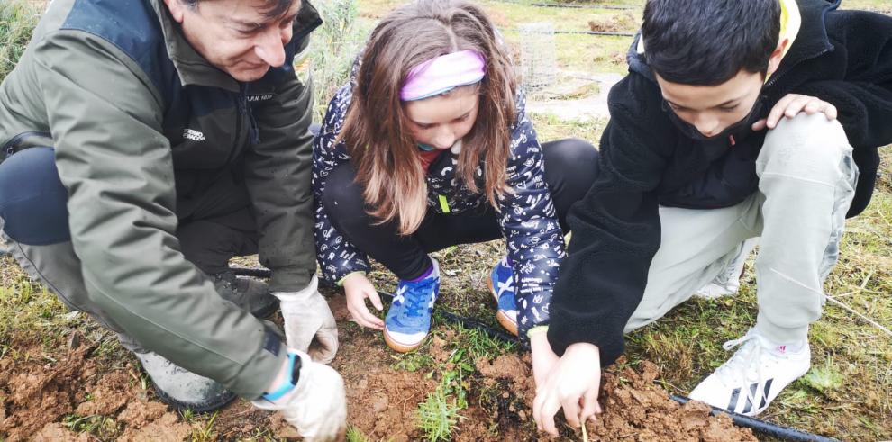 El Gobierno de Aragón celebra el Día del Árbol sensibilizando en los colegios sobre la importancia de los bosques