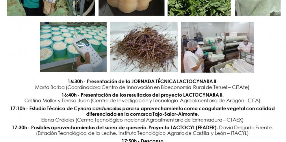 El Centro de Innovación en Bioeconomía Rural de Teruel acoge la Jornada Técnica del proyecto FITE LACTOCYNARA II