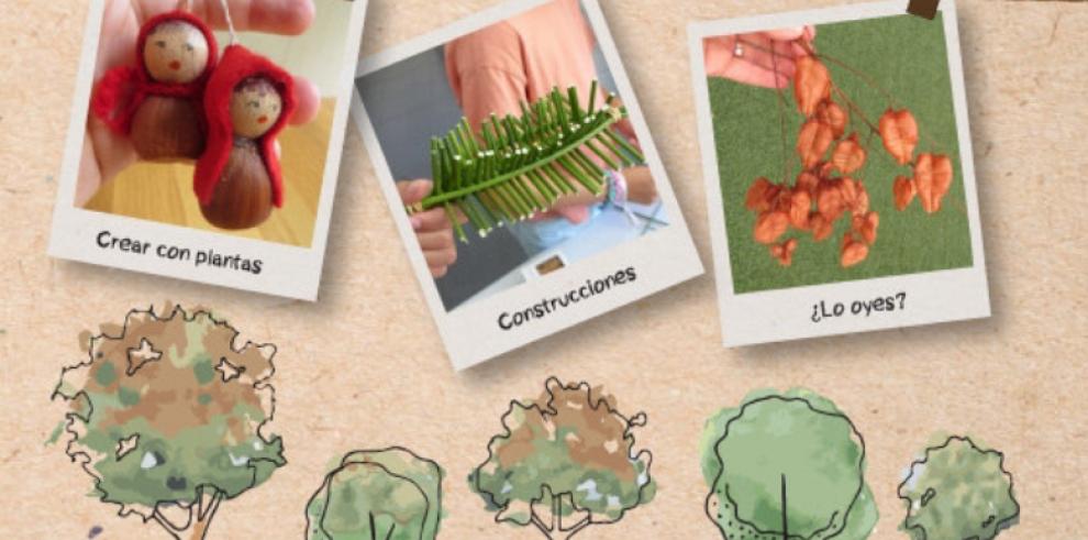 El CITA edita el Cuaderno del Profesorado del libro “Diviértete con las plantas”