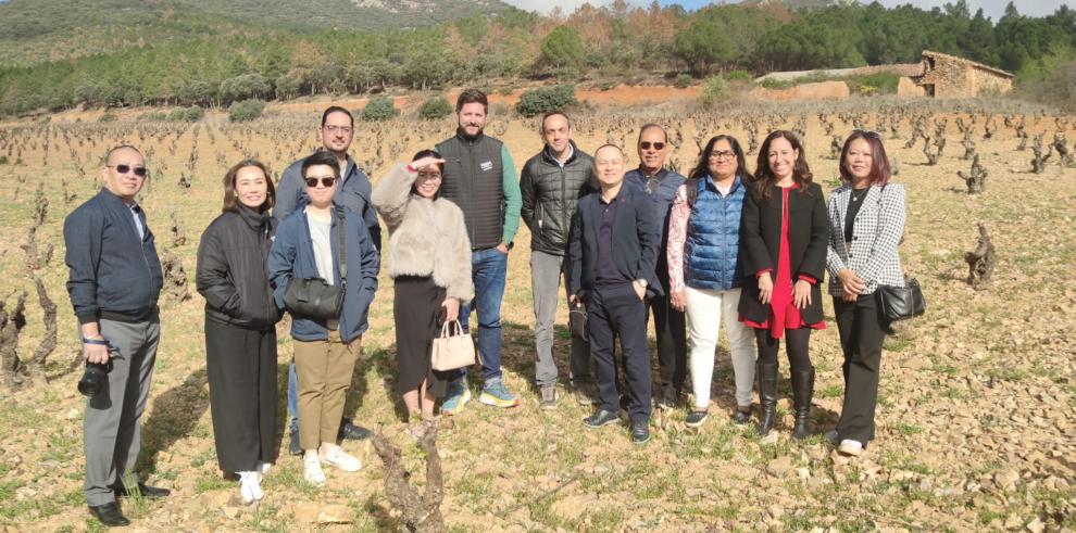El grupo de importadores del Sudeste Asiático visitando viñedos con viñas viejas en la DOP Cariñena