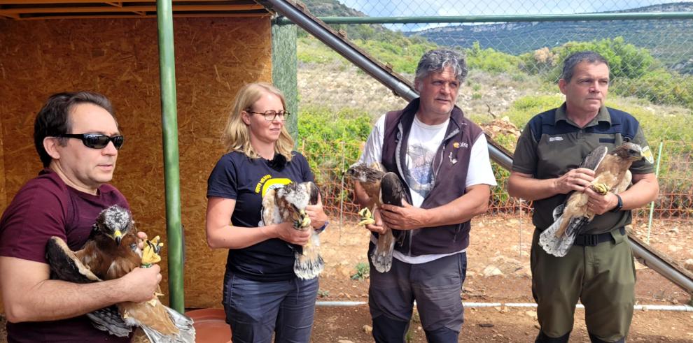 Cuatro nuevas águilas de Bonelli llegan a la Sierra de Guara para su  próxima liberación