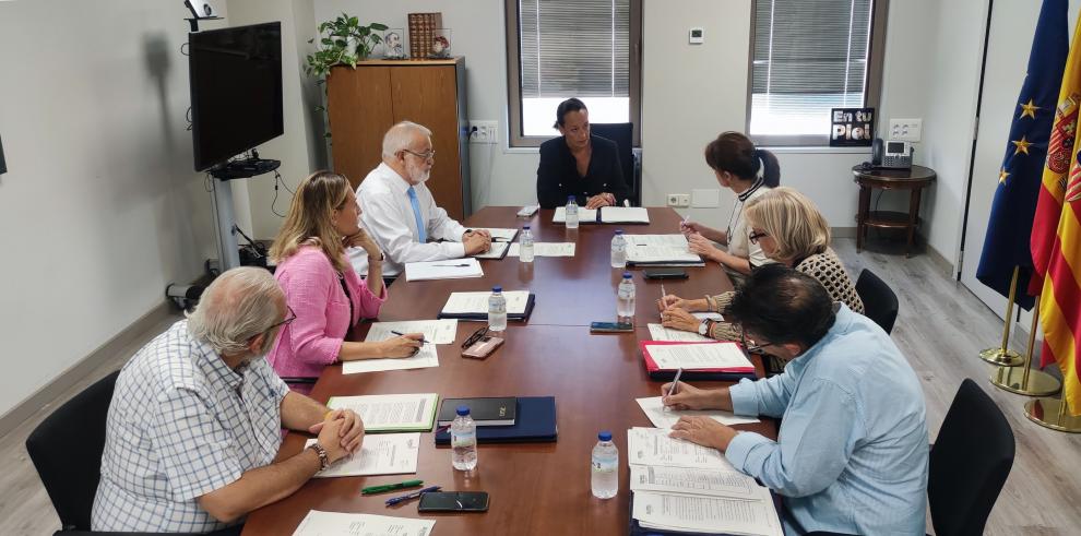 El Consejo Aragonés de Adopción se ha reunido en la consejería de Bienestar Social y Familia este miércoles