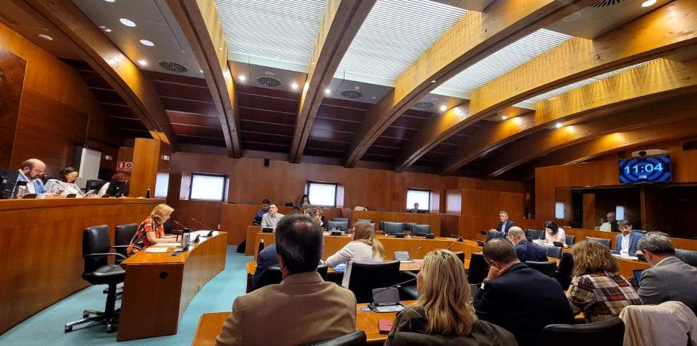 La directora general de Salud Pública, Nuria Gayán, durante su comparecencia esta tarde en la Comisión de Sanidad de las Cortes de Aragón