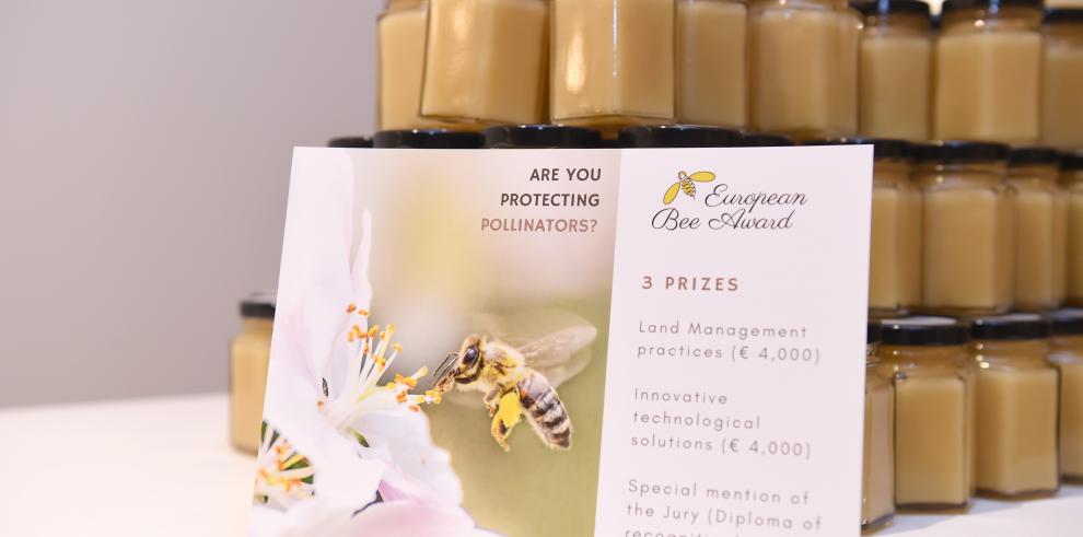 Imagen del artículo El proyecto europeo LIFE PollinAction, en el que participa el CITA, recibe el premio 'European Bee Award 2023'