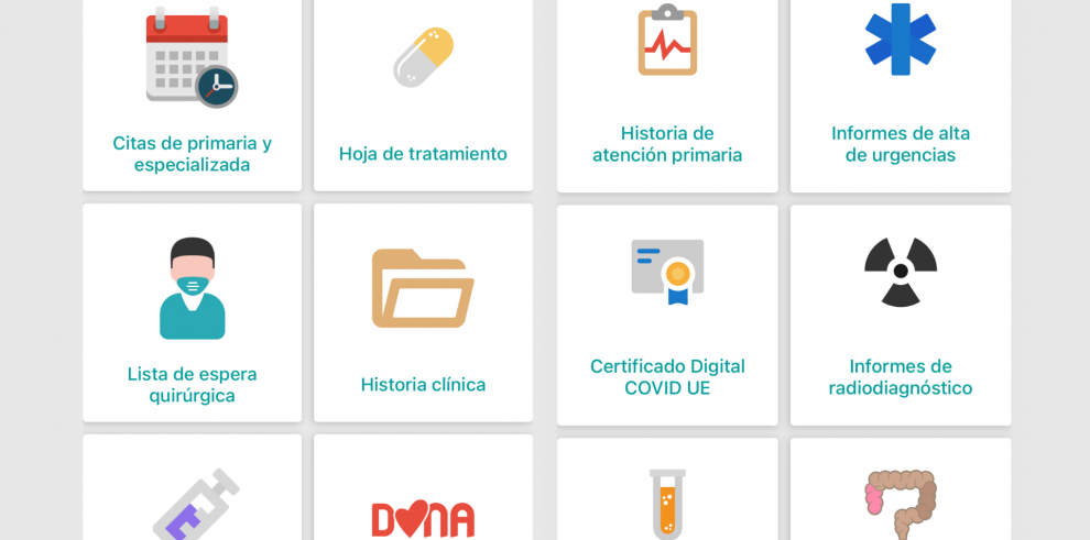 Algunos de los iconos coloreados de la aplicación de Salud Informa